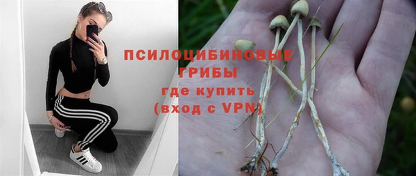 гидра Абдулино