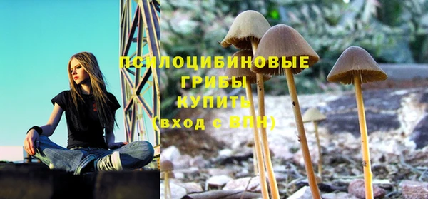 эйфоретик Покровск