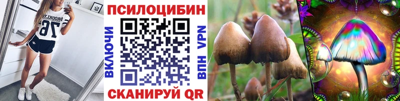 МЕГА маркетплейс  Вичуга  Галлюциногенные грибы MAGIC MUSHROOMS  как найти закладки 